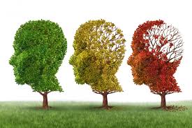 alzheimer's and care management